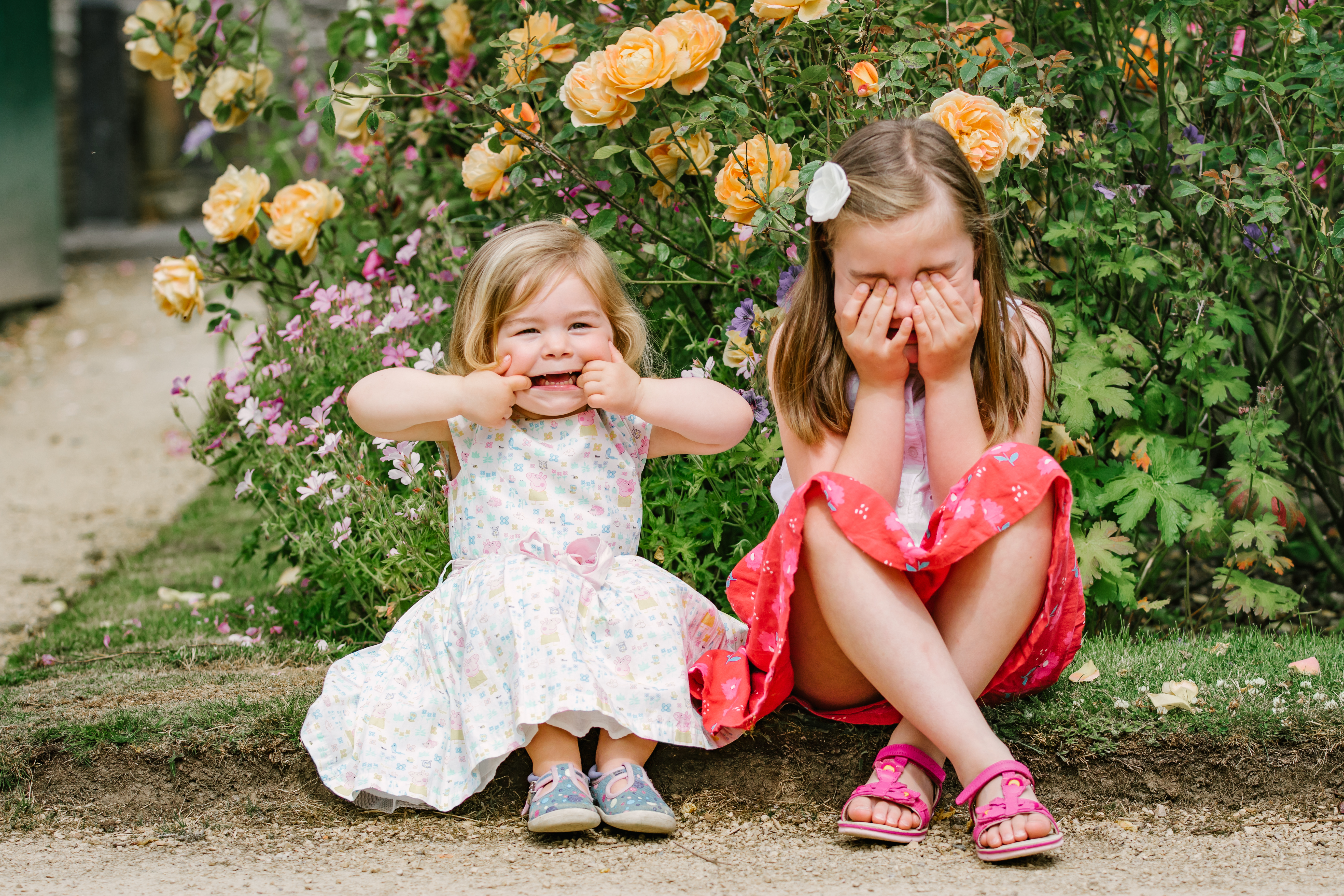 Two young sisters being silly in a summer garden, one giggling and one hiding her face